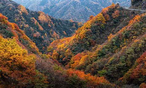 光霧山景區電話多少 除了電話號碼，您還想知道更多關于光霧山景區的資訊嗎？